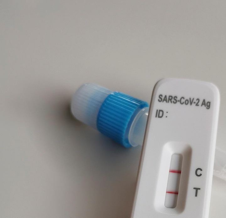saliva test kit dna