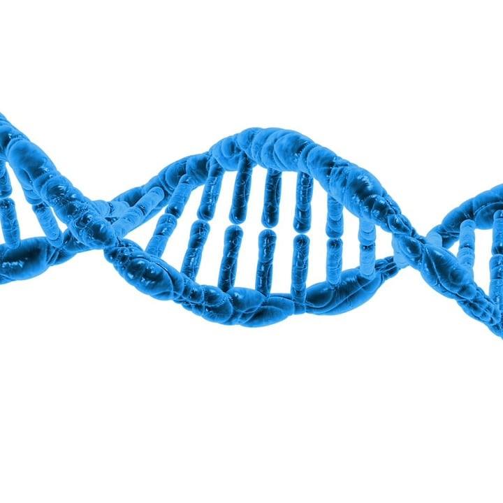 genetic counseling family dna